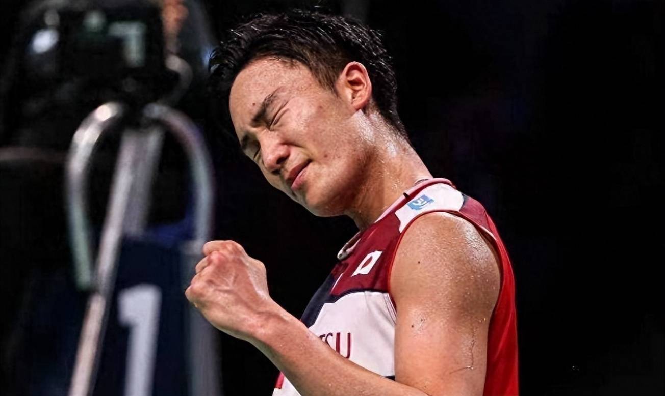 爱游戏中国-法国羽毛球队绝地反击印度羽毛球队，陶菲克高光表现的简单介绍